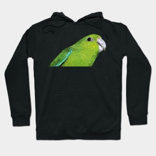 catarine parakeet Hoodie